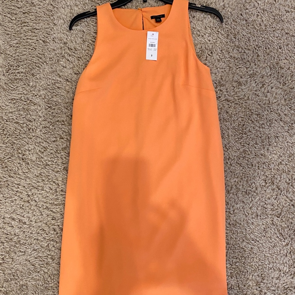 Ann Taylor Shift Dress, size 2
